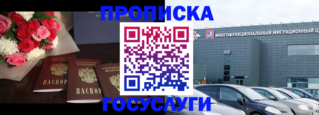 прописка законно в Светлограде