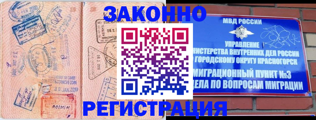 прописка иностранных граждан в Светлограде