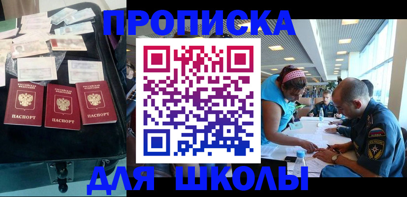 временная регистрация 2025 в Светлограде